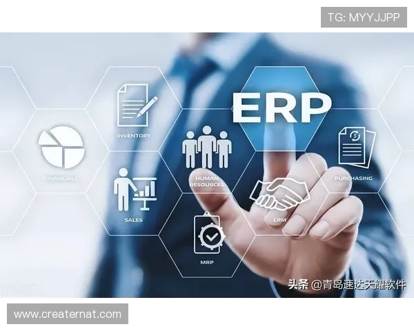 亚星管理登录平台官网帮助企业高效管理财务与运营流程的最佳平台