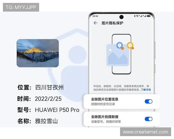 亚星管理登录地址安全登录技巧,保障账户信息安全与隐私保护