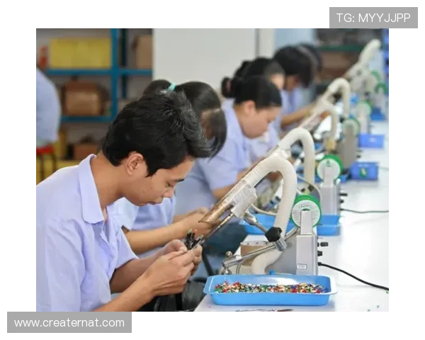 亚星线缆出事事件对市场信任度的冲击及消费者应如何应对